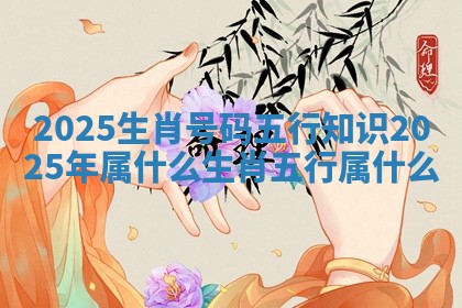 2025生肖号码五行知识 2025年属什么生肖五行属什么 2025生肖号码五行知识 2025年属什么生肖五行属什么