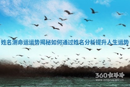 姓名测命运运势揭秘如何通过姓名分析提升人生运势