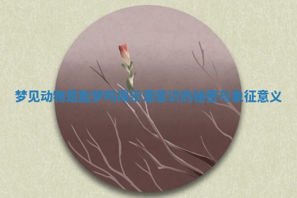 梦见动物是胎梦吗揭示潜意识的秘密与象征意义
