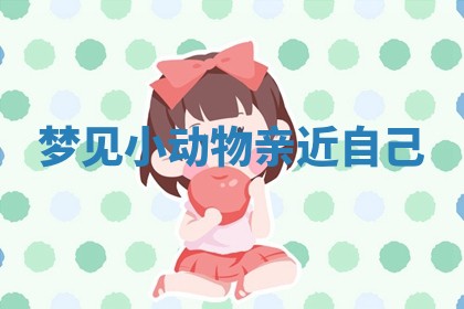 梦见小动物亲近自己
