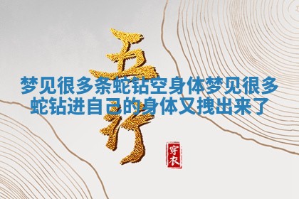梦见很多条蛇钻空身体 梦见很多蛇钻进自己的身体又拽出来了