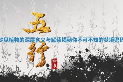 梦见植物的深层含义与解读揭秘你不可不知的梦境密码