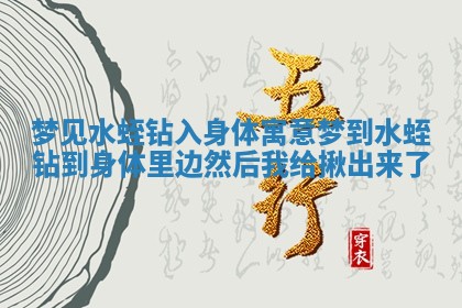 梦见水蛭钻入身体寓意 梦到水蛭钻到身体里边然后我给揪出来了