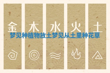 梦见种植物放土 梦见从土里种花草
