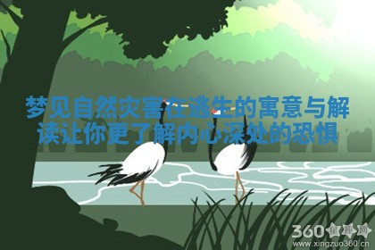 梦见自然灾害在逃生的寓意与解读让你更了解内心深处的恐惧 梦见自然灾害在逃生的寓意与解读让你更了解内心深处的恐惧