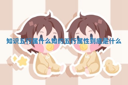 知识五行属什么_知的五行属性到底是什么 知识五行属什么_知的五行属性到底是什么
