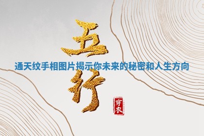 通天纹手相图片揭示你未来的秘密和人生方向